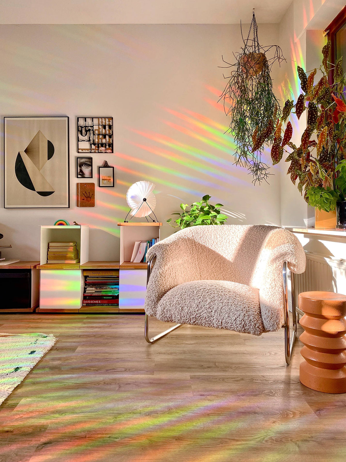 Sonnenfänger Fenster Narzisse, Regenbogen Aufkleber